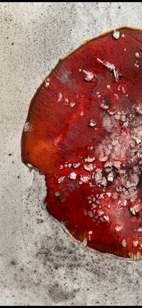 Image 1 of "Toadstool" original painting