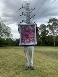 Image 1 of TRANZ AM ENERGY!
