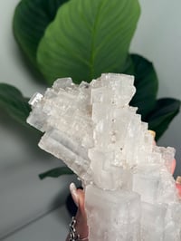 Image 2 of XL WHITE HALITE -MOROCCO- H