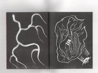 Image 2 of Connective Tissue
