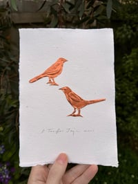 Image 1 of Two For Joy Magpies
