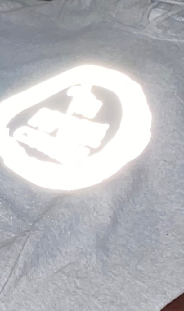 Image of Reflecting Logo Hoodies 