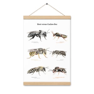 Host versus Cuckoo Bee print with hangers