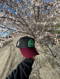 Image 4 of 198 Black and Burgandy 