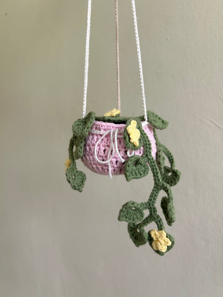 Image of ✧Hanging Primrose Plant