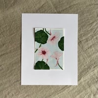 Original Nasturtium Painting on Paper