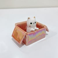 Image 5 of Picture holder white cat in the box ceramic keepsake (rainbow effect)