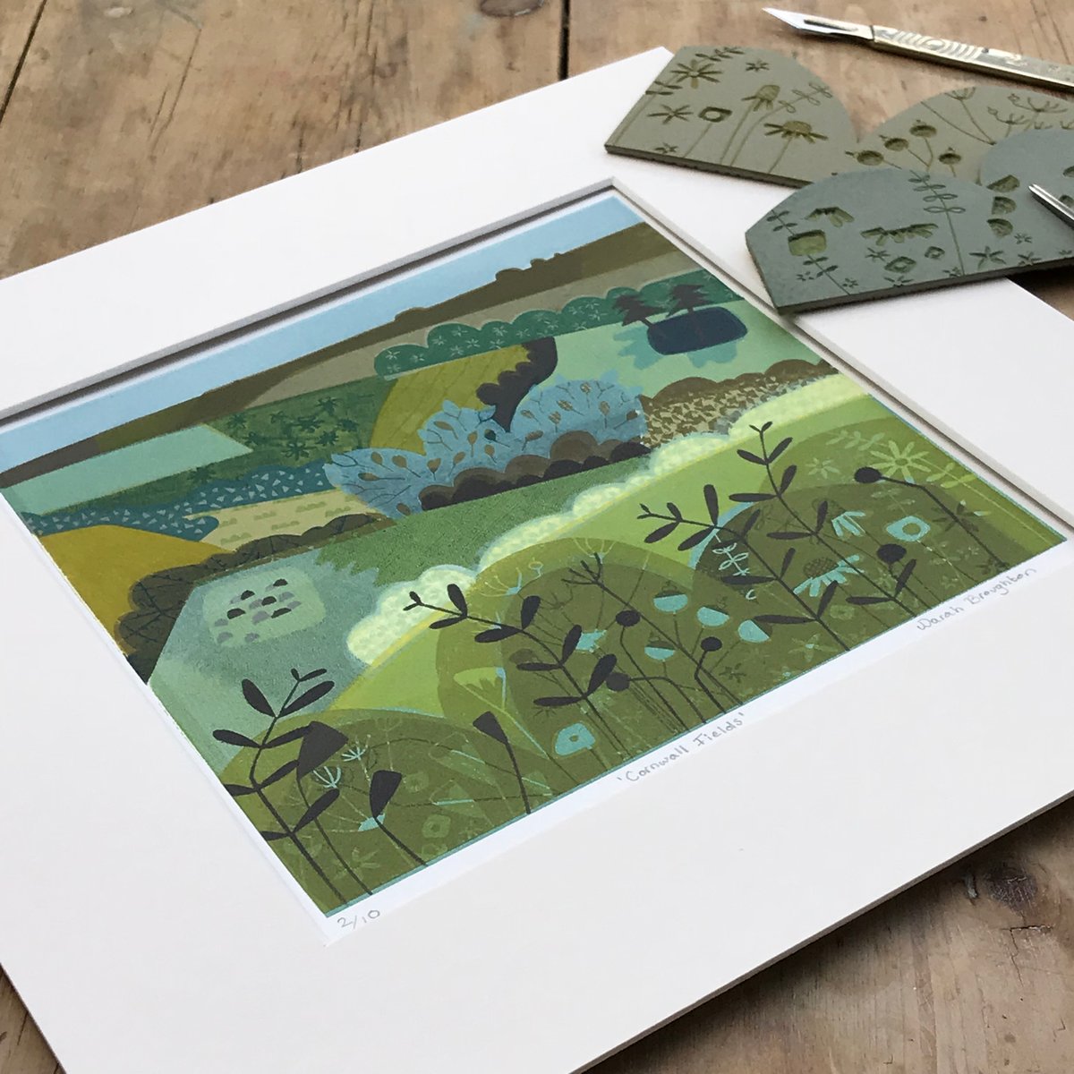 Image of Cornwall Fields
