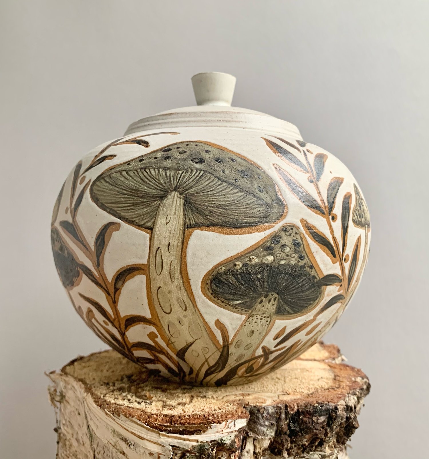 Image of Fungi Jar 