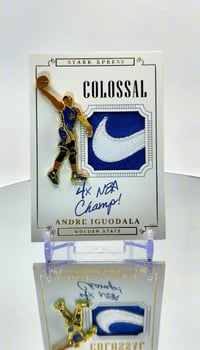 Image 2 of Iggy Retirement