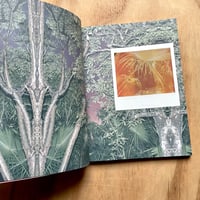 Image 3 of Cristina de Middel & Kalev Erickson - Jungle Check (Signed x2)