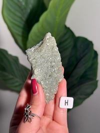 Image 8 of CHOOSE YOUR OWN SMALL PREHNITE CLUSTER -INDIA-