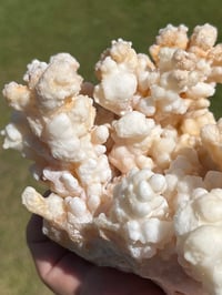 Image 11 of Calcite Crystal Cluster Reef Formation Specimen #1235