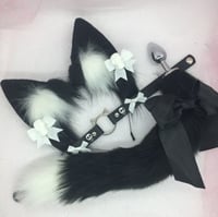 Black Skull 🐱 PetPlay Set 