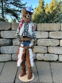 Image 2 of Mustang Marty