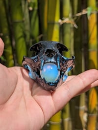 Image 4 of Opal Cat Skull 