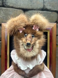 Image 2 of Pretty In Pink (framed mink)