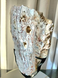 Image 5 of 4.1lb Crazy Agate Rough Edge Crystal Slab with Custom Stand