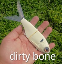 Image 3 of Smooth Snack Shad