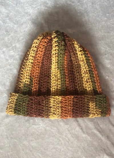 Image of Earthy Beanie