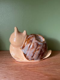 Image 4 of Escargot 🐌 