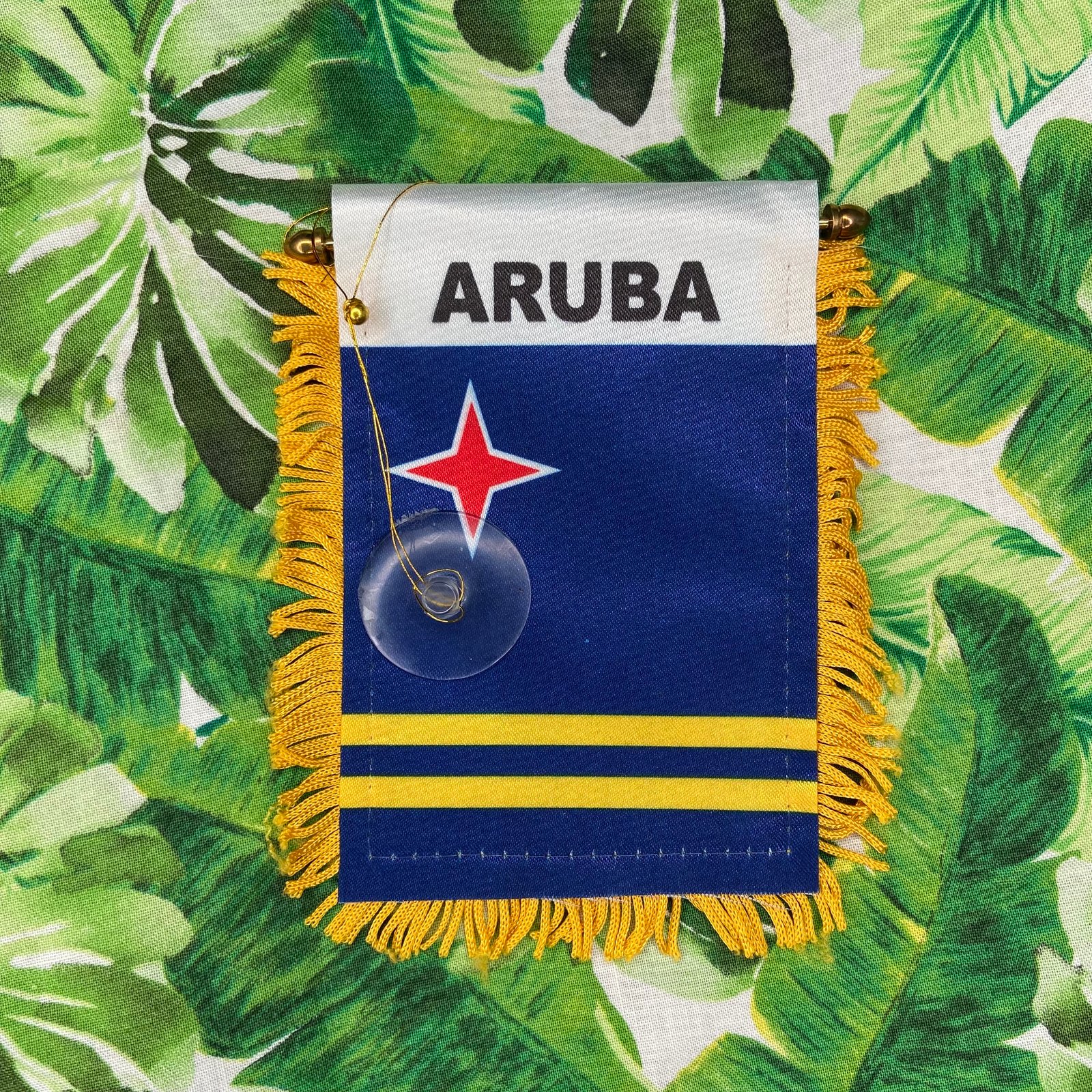 Mini Banner-Aruba 
