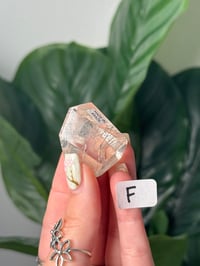 Image 6 of SILVER AND BLACK RUTILE IN QUARTZ GUSHER FREEFORMS -BRAZIL-