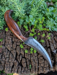 Image 1 of BROWN GEN2 DRAUG