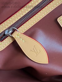 Image 3 of LV Pharrell Velvety Speedy