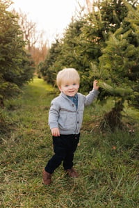 Image 4 of Tree Farm Mini 2026