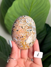 Image 10 of XL CHOOSE YOUR OWN ORBICULAR VEINLESS OCEAN JASPER PALM STONES -MADAGASCAR- 