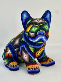 Image 1 of French Bulldog Puppy Vol 3 009