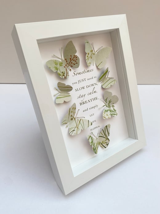 April 24th - sometimes you just need to slow down   - Butterfly quote art
