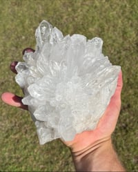 Image 11 of Clear Quartz Points Cluster #2256