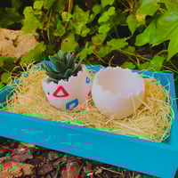 Image 1 of KIT MACETA TOGEPI 🥚