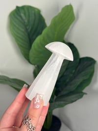 Image 2 of SELF STANDING SATIN SPAR MUSHROOM