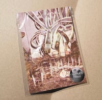 Image 1 of Yimei Zhang