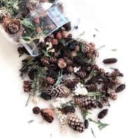 Image 1 of Winter Walk Potpourri 