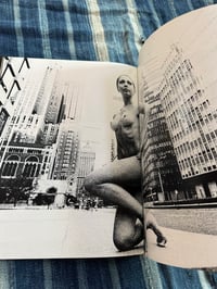 Image 2 of Ipy Girl Ipy, Tad Wakamatsu