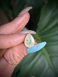 Image 1 of Bluebell Pearl