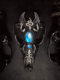 Image 2 of Mystic IV