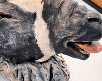 Image 4 of Born to be baaaa'd- Julie Kradel