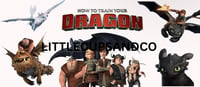 how to train your dragon tumbler