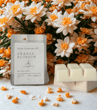 Orange blossom clamshell wax melts 