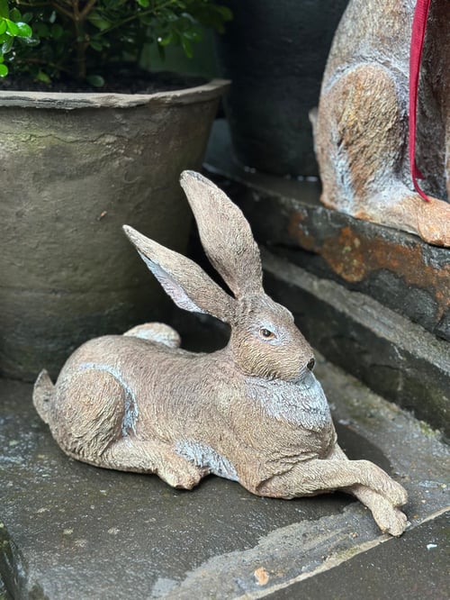 Image of Hare - Relaxing