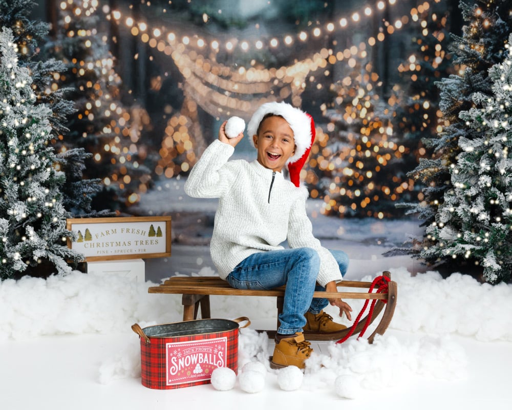 Image of Christmas Mini Session 