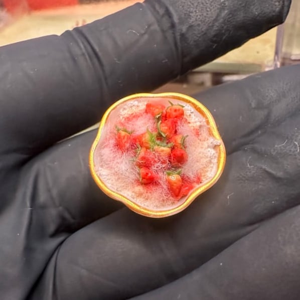 Image of Moldy Strawberries Magnet