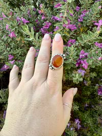 Image 2 of The Ranunculus Ring (7.5)