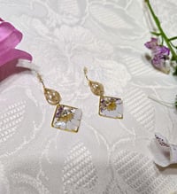 Image 1 of Mini daisy garden 