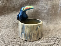 Image 2 of Toucan Stump